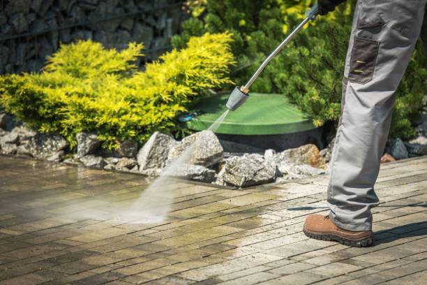 Best Winterizing Services  in Genesee, CO