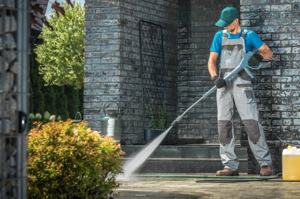 Animal Enclosure Cleaning in Genesee, CO